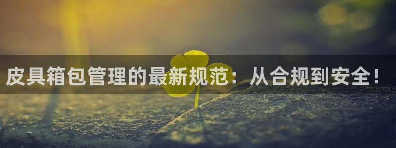琳琅娱乐工作室