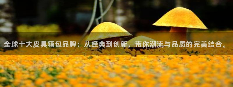 琳琅娱乐黑钱