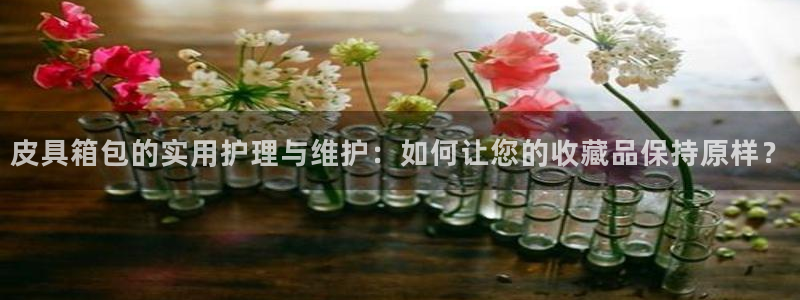 琳琅偏爱娱乐