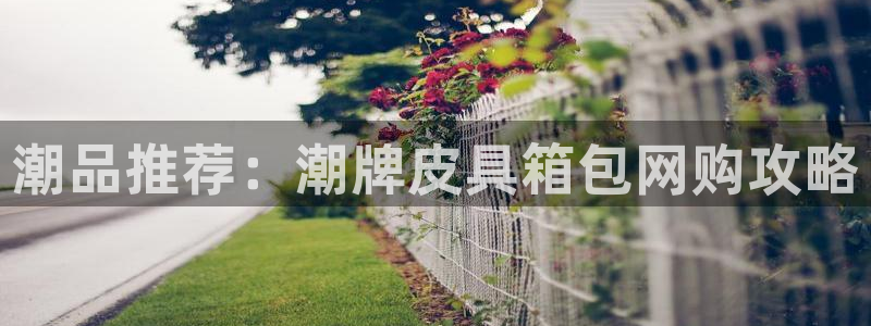 琳琅娱乐组飞车