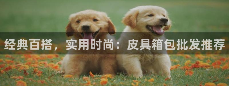 娱乐从琳琅榜开始