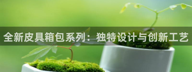 琳琅娱乐园