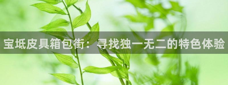 琳琅娱乐在哪直播