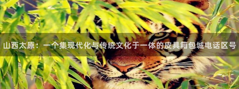 孝感琳琅娱乐会所