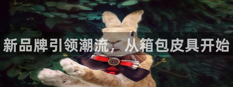 琳琅娱乐工作室地址