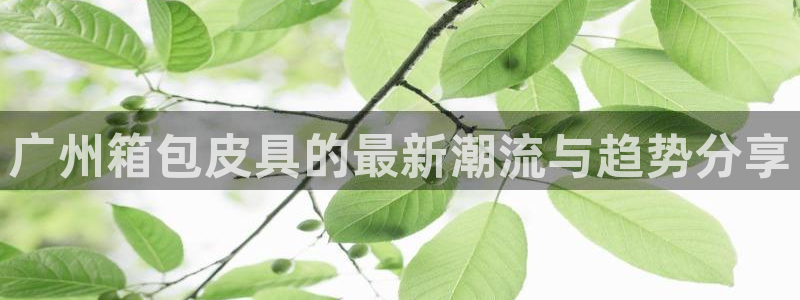 琳琅娱乐挂机