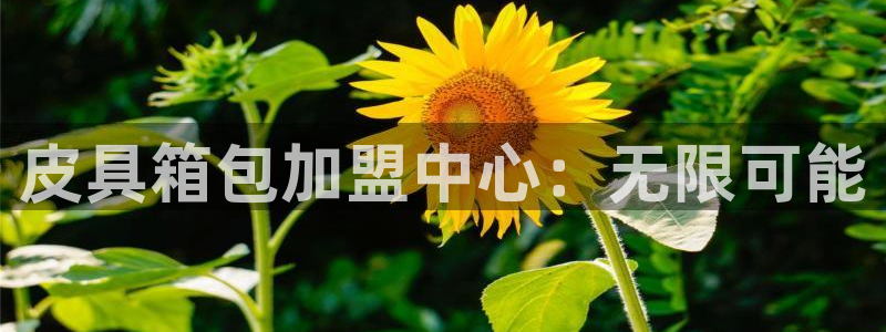 琳琅娱乐工作室地址