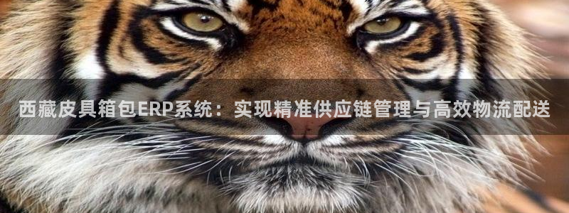 琳琅娱乐代理怎么样