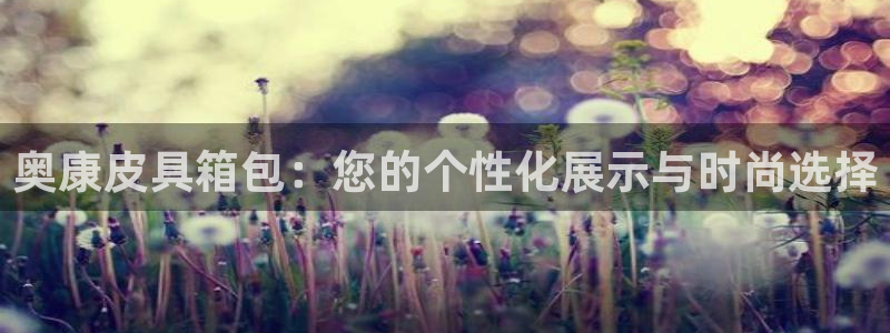 琳琅科技娱乐机器人教程