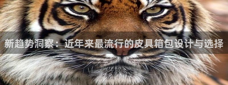 琳琅娱乐平台怎么样可靠吗