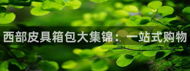 琳琅天上qq飞车娱乐
