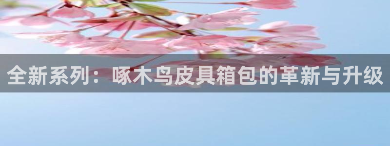 琳琅谈娱乐