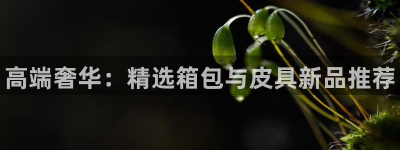 琳琅娱乐主管