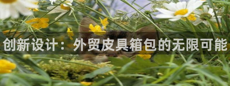 琳琅娱乐登入官网