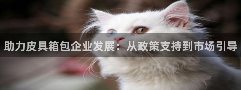 琳琅科技娱乐机器人插件