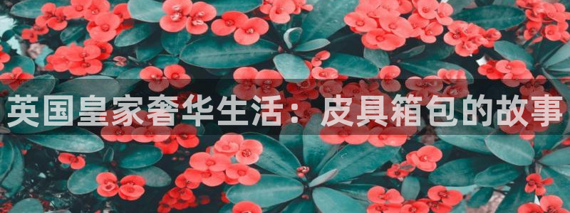 琳琅娱乐前7O777