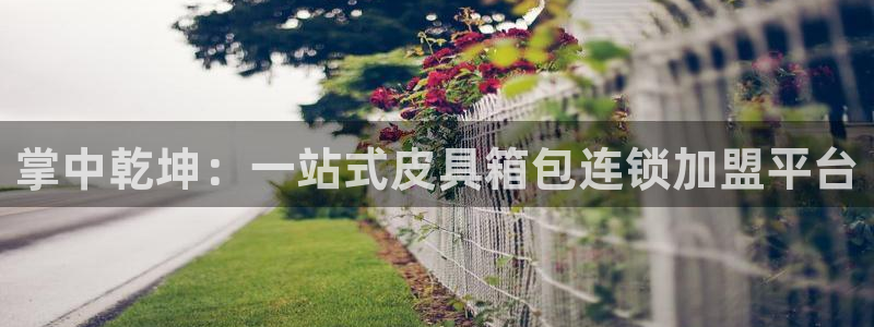 娱乐从琳琅榜开始的小说