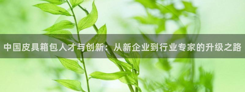 琅琳琅娱乐