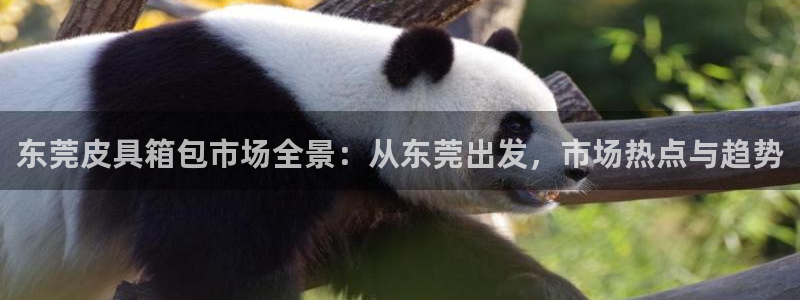 琳琅娱乐注册登录