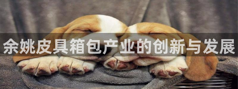 琳琅娱乐代理怎么做