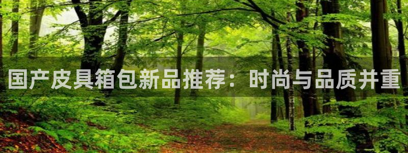 琳琅娱乐代理人是谁