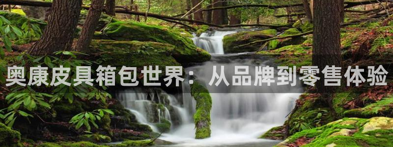 琳琅娱乐官网