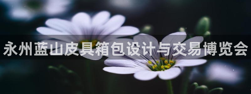 琳琅娱乐平台怎么样