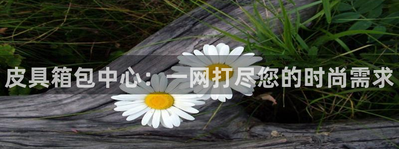 qq琳琅科技娱乐机器人