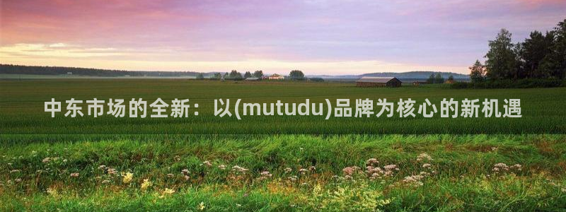 杭州琳琅互动娱乐