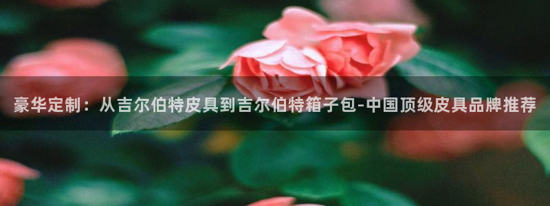 琳琅社区娱乐视频