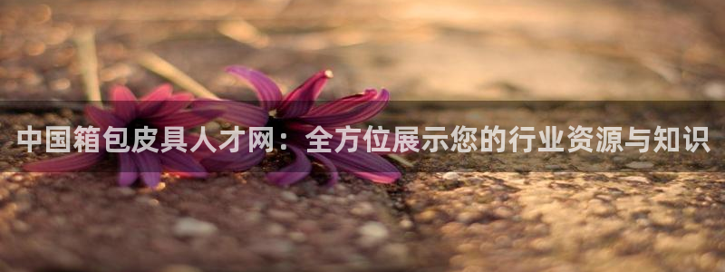 琳琅娱乐怎么样知乎