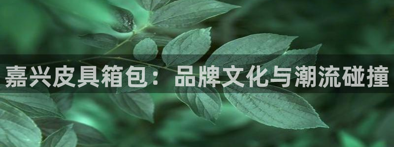 琳琅娱乐温柔乡网站