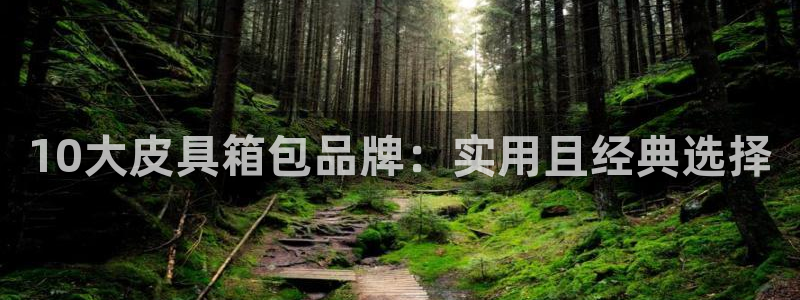 琳琅娱乐工作室