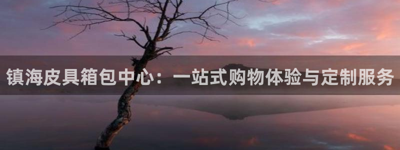娱乐从琳琅榜开始