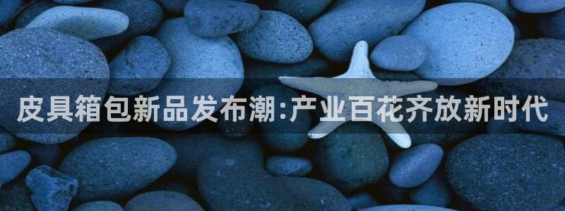 琳琅娱乐招商