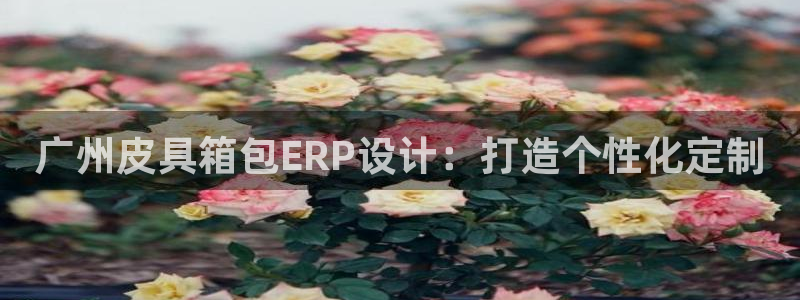琳琅说娱乐