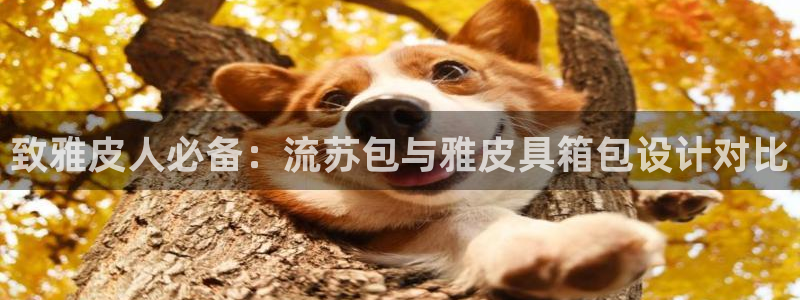 琳琅天上qq飞车娱乐
