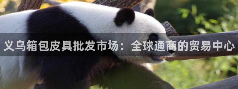 琳琅娱乐工作室招聘条件