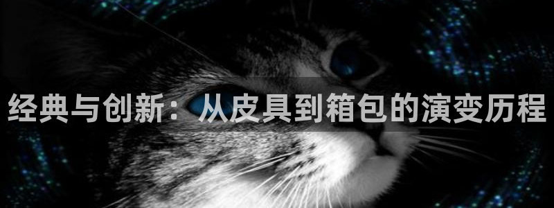 娱乐从琳琅榜开始的小说