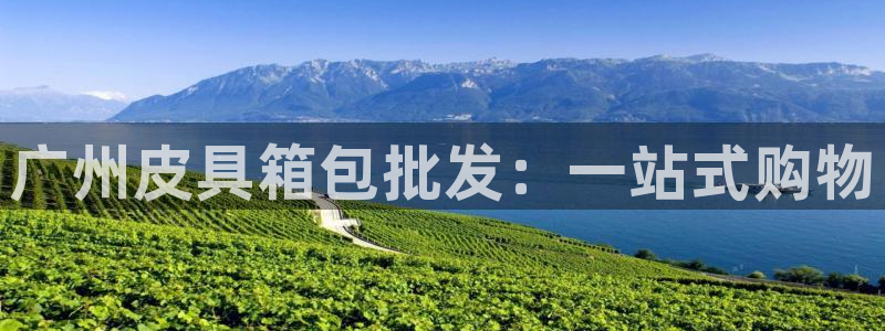 琳琅娱乐机器人