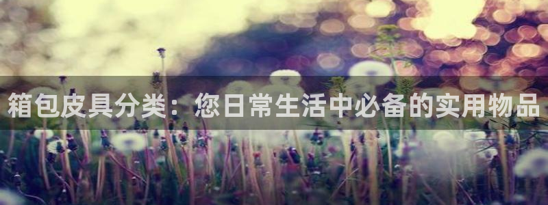 琳琅娱乐挂机