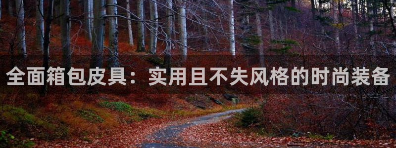 琳琅娱乐机器人