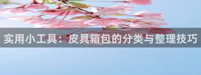 琳琅科技娱乐