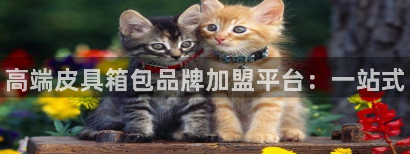 琳琅社区综艺文化娱乐