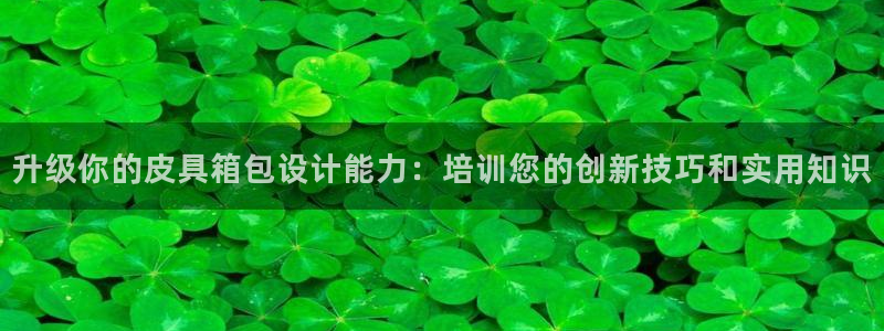 琳琅娱乐 全麦优质