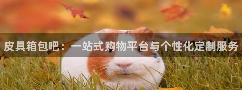 琳琅娱乐在线注册