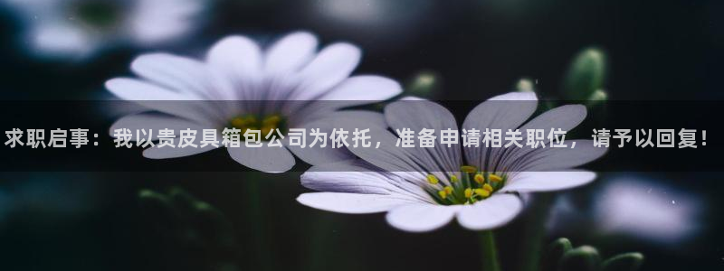 娱乐从琳琅榜开始