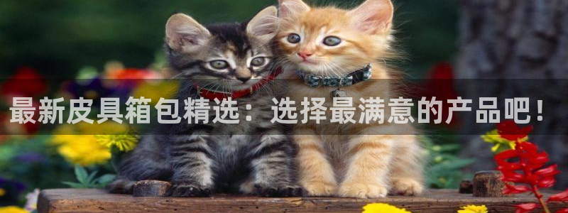 琳琅娱乐注册登录