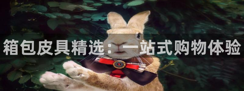 琳琅娱乐平台怎么样