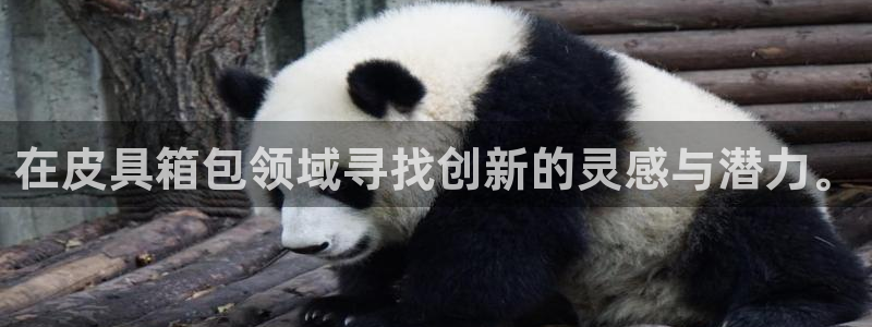 琳琅社区综艺文化娱乐